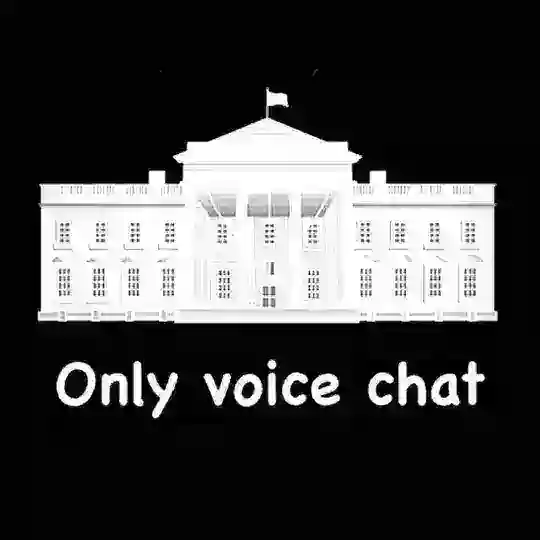 Only Voice Chat