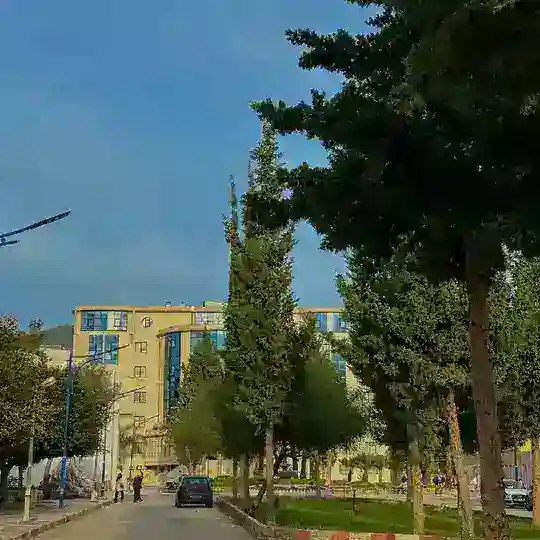 INFORMATIQUE LMD/ING