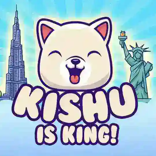 Kishu Inu Türkiye 🇹🇷