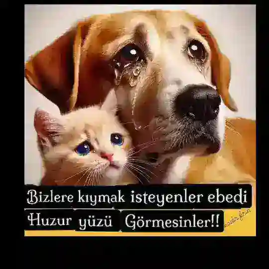 🇰𝘂̈𝐑𝐓💞🇰𝐈🇿𝐈☕🩵🕊️