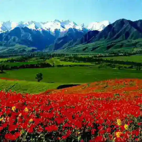 Ⲕыⲣⲅыⳅⲥⲧⲁⲏ🇰🇬☝️