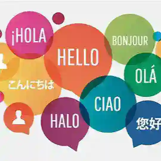 International Decent Language Group