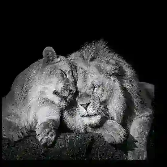 ༒︎𝗟𝗨𝗞𝗦 𝗦𝗢𝗛𝗕𝗘𝗧༒︎