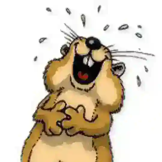 Lustige Bilder und Witze