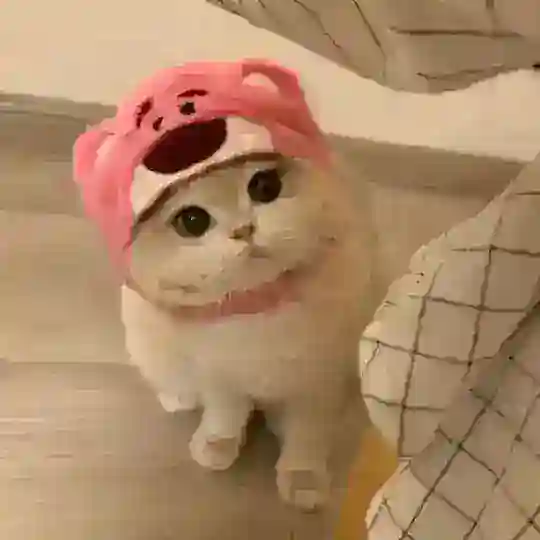 𝙈𝙤𝙉𝙚𝙮 𝙇𝙪𝙓𝙪𝙍𝙮 ☂