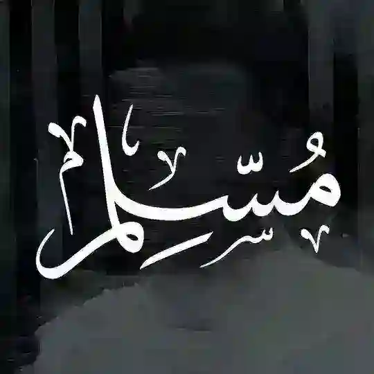 ☪️MuslimChat🇵🇸