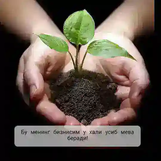 NL билан соглом ва гузал хаёт❤️💃❤️