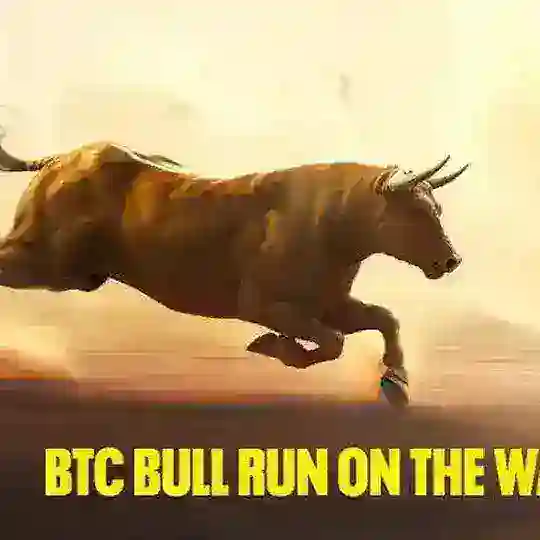 2024 BULLRUN