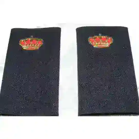 Opositores Policia Nacional Escala Basica