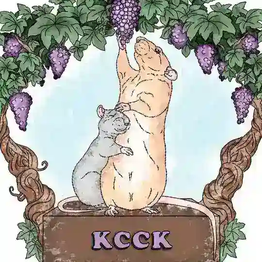 КССК | "Крысиное Счастье" Сообщество Краснодара