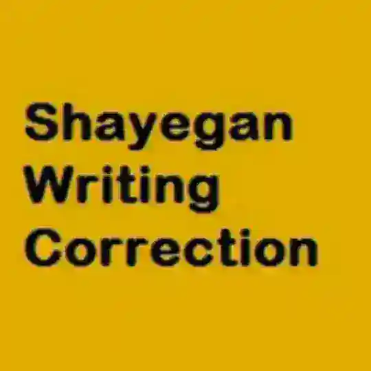 shayegan_thetesthelper_writing_correction_system