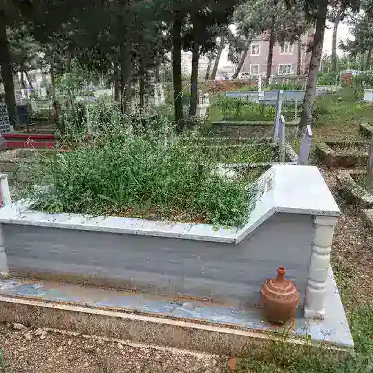 Denizli Gay Travesti Haber