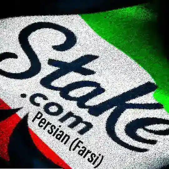 🗣 Stake.com - هوشمندانه تر بازی کنید