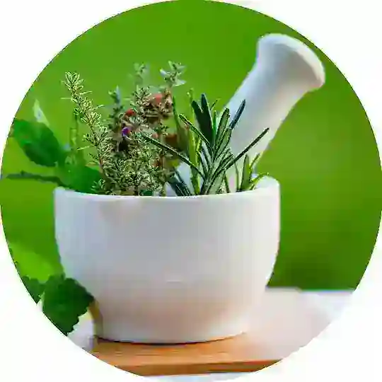 🌿 Тиббий китоблар ☘️