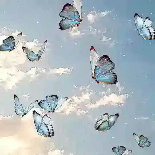 🦋⃪꯭꯭᪵⃜〬⍣⃟🇧𝗨 𝗧 𝗧 𝚵 𝗥 𝗙 𝗟 𝗬𝆺𝅥⃝≛࿐🐾🦋
