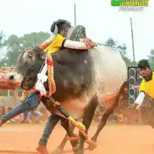 ((வருத்தப்படாத வாலிபர் சங்கம்...)) 🤣✧(≖ ◡ ≖✿)