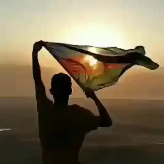 Tovuz söhbət qrupu