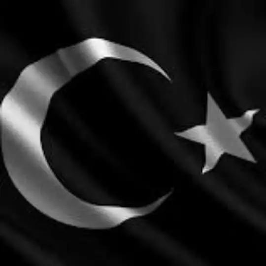 TÜRKİYEBİRLİK🇹🇷#KURTDİRENİŞ