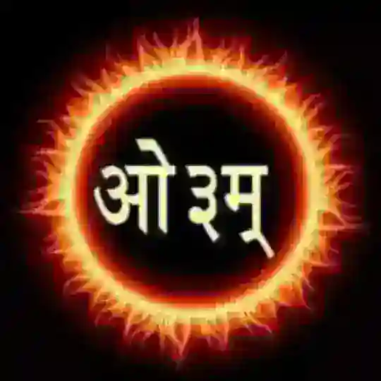 Vedic Missionary Official