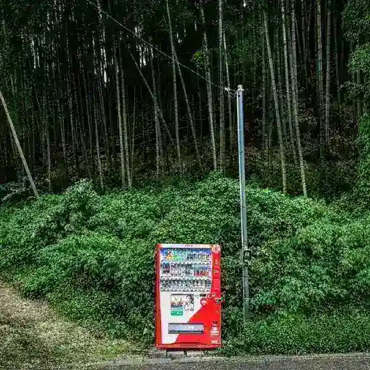 🇺🇦 Вендінг HoReCa Україна Кава 🇺🇦 Кавомати Кофемашини Продаж Vending бизнес Кофе 🇺🇦