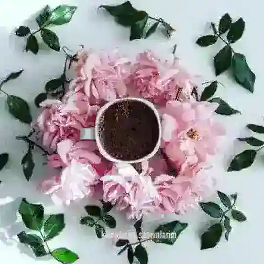 Voice 🇫🇷 French Dramat LEARNING