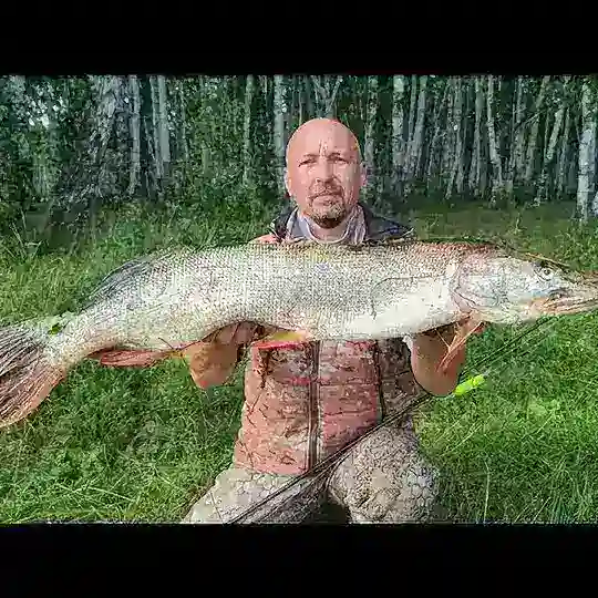 Омская рыбалка