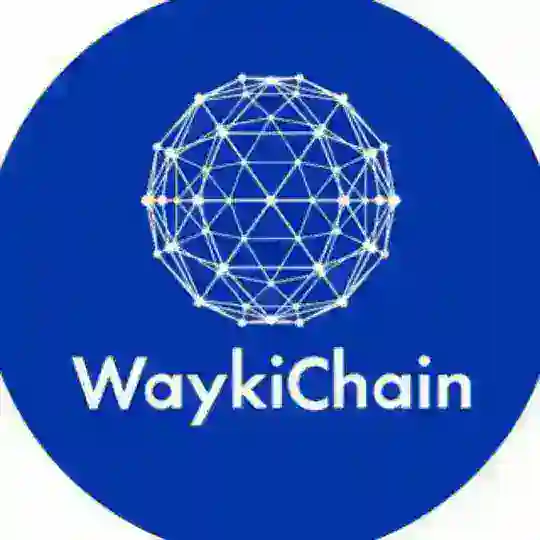 WaykiChain Pakistani A world leading public blockchain and decentralized finance eco-system