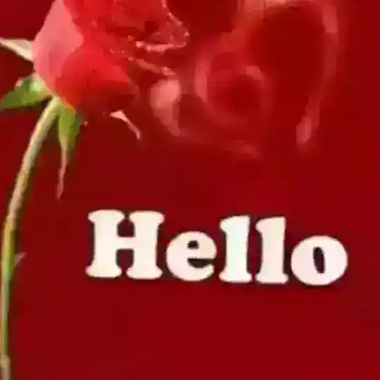 All Grade11 $ 12 Social science