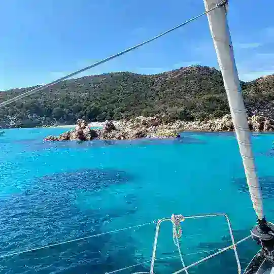 Digitized Health Conference - Nice France