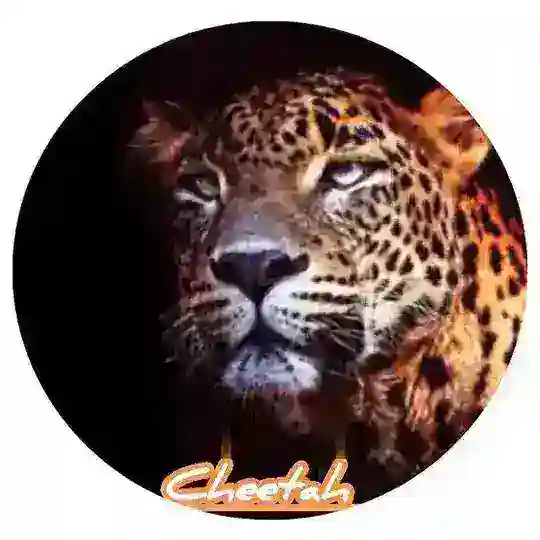 🔥 CHEETAH CANLI 🔥