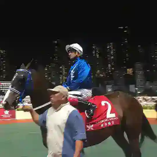 永續不打鞭贏馬騎師韋達！