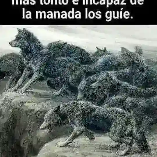 Hombre SIGMA Σ - El Nuevo #ALFA