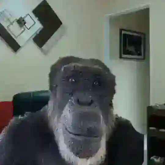 SCAMFORBES CLOWNS | CHILL ZONE 🤪