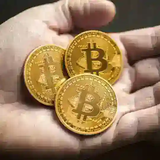 Kripto Para Dünyası