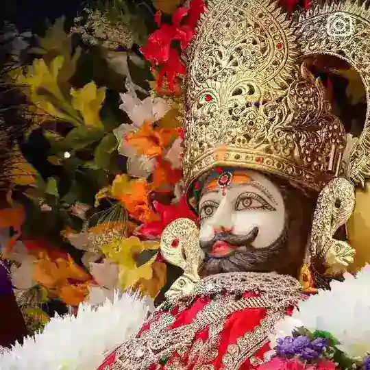 🪶🌻🦢REET*सपनो की उड़ान*🙏🕊🕊