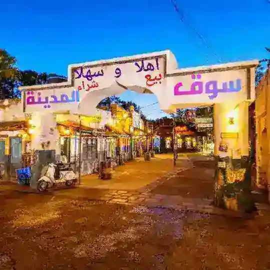 خدمات المدينة المنورة