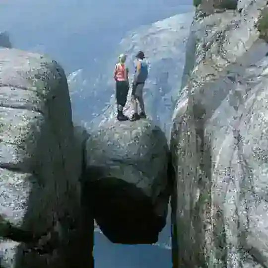 निसर्गप्रेमी आणि कलाप्रेमी 💐