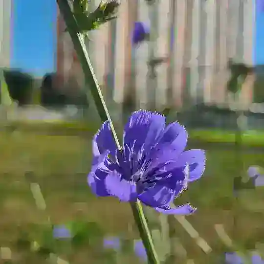 пейзажи Южного Медведково