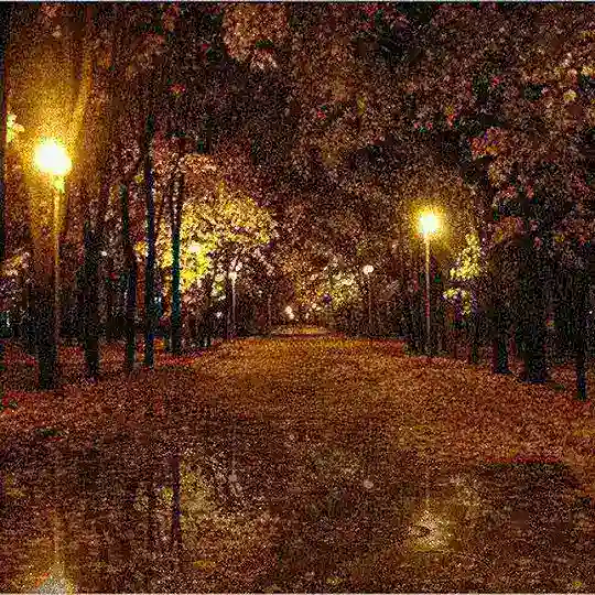 Payız.Gecesi💚🍂