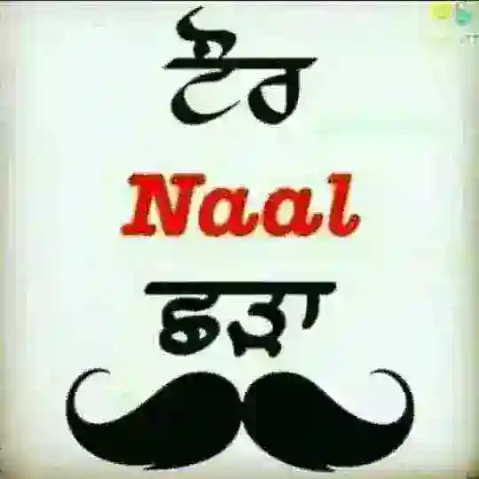 ਛੜਿਆਂ ਦਾ ਟੋਲਾ