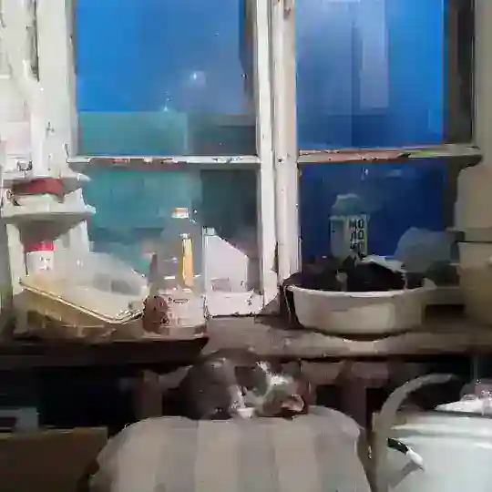 Philosophy in Russian