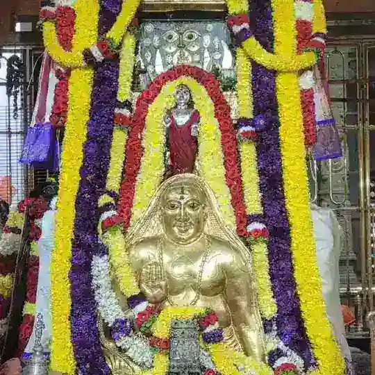 🚖SUV DUTY GROUP🚖