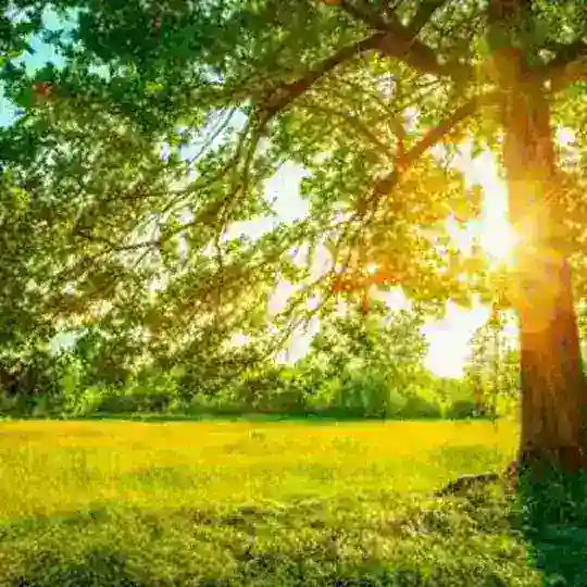 دوستان پررو ورژن تلگرام(شروع بهار زیبا)